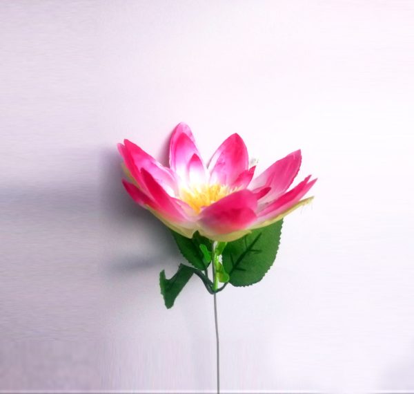 Pink Lotus